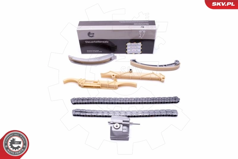 Timing Chain Kit